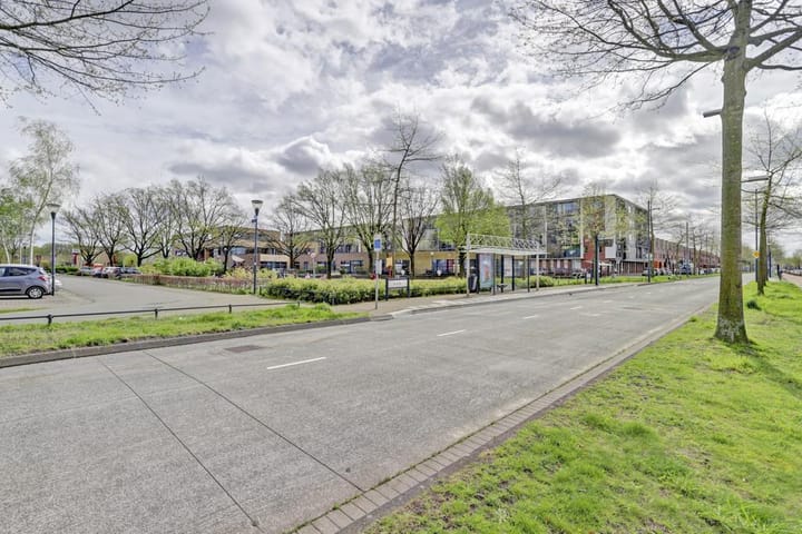 Foto 43 van Grasvogel 17