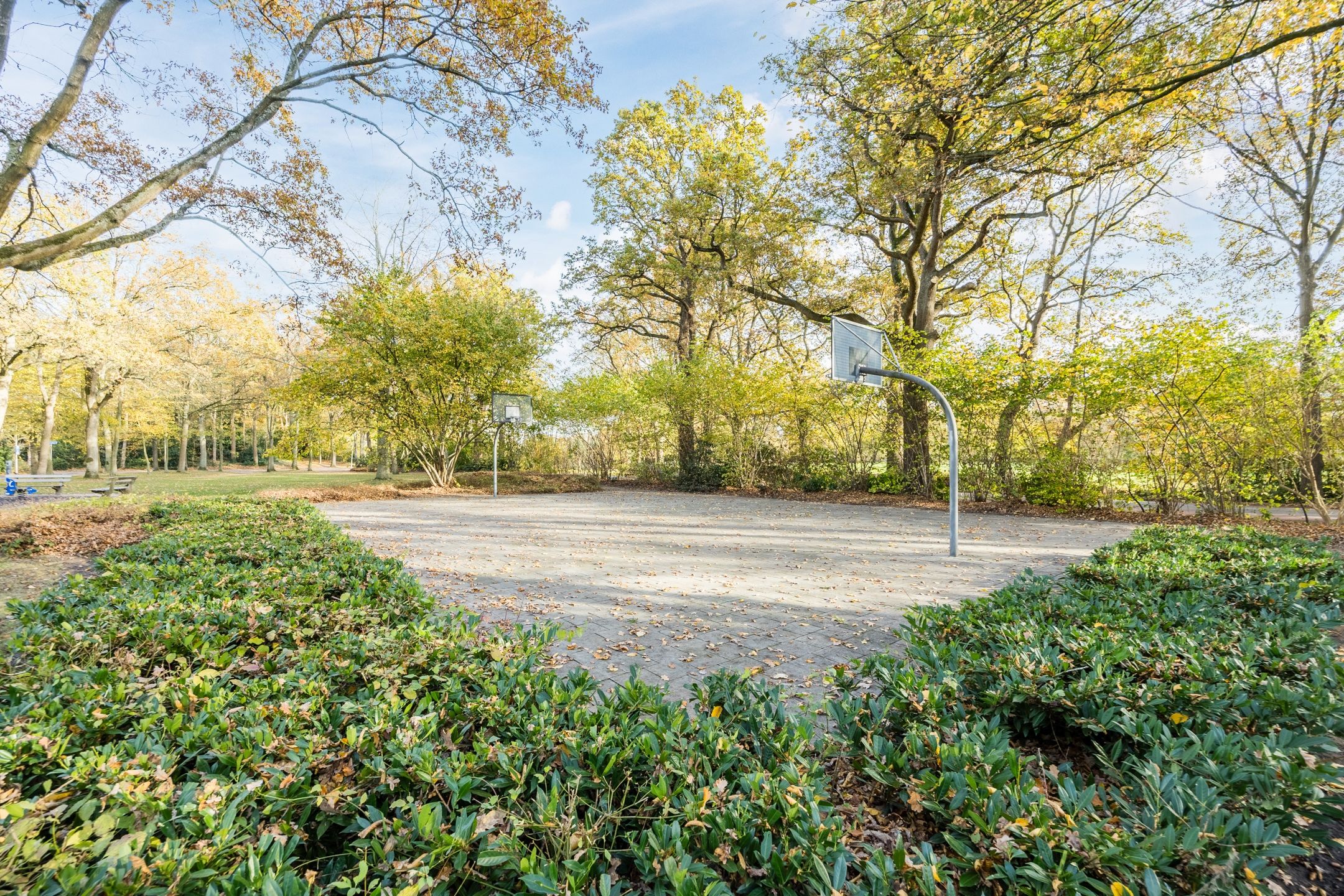 Photo 54 of Schelpstraat 8