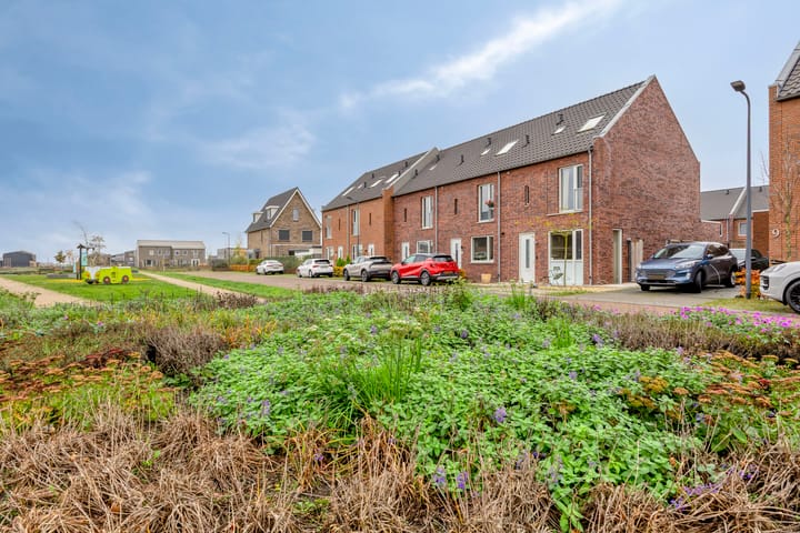 Photo 33 of Ebben 11