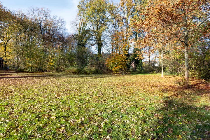 Photo 35 of Valeriaan 32