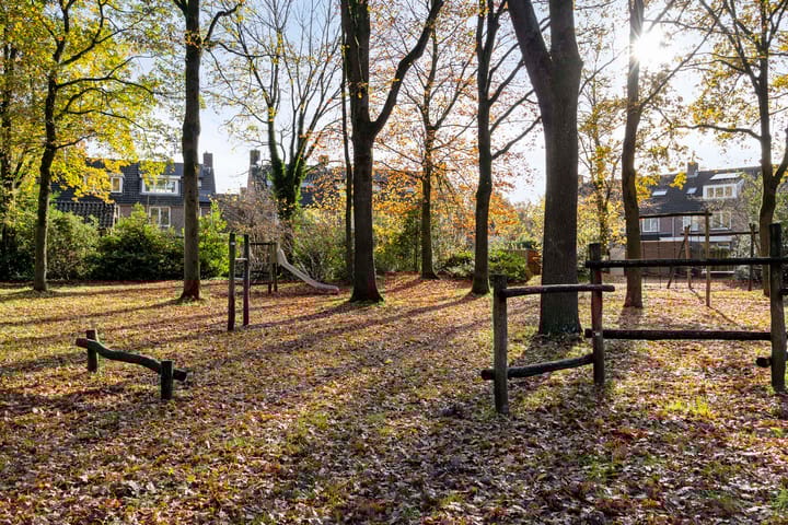 Photo 36 of Valeriaan 32