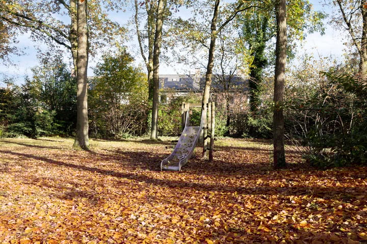 Photo 39 of Valeriaan 32