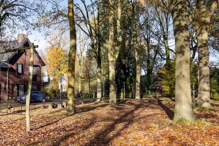 Photo 37 of Valeriaan 32