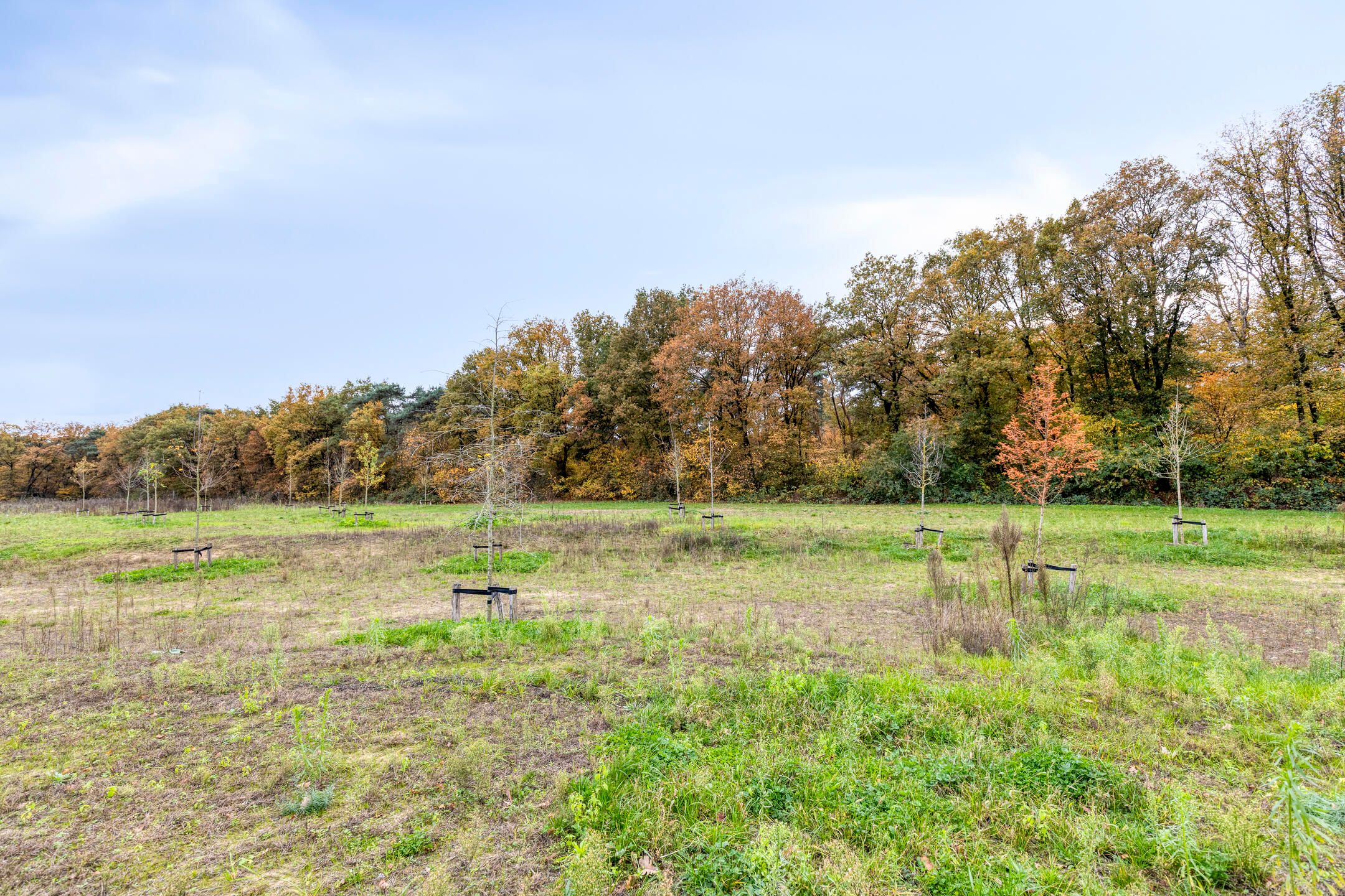 Foto 48 van Papendonk 6