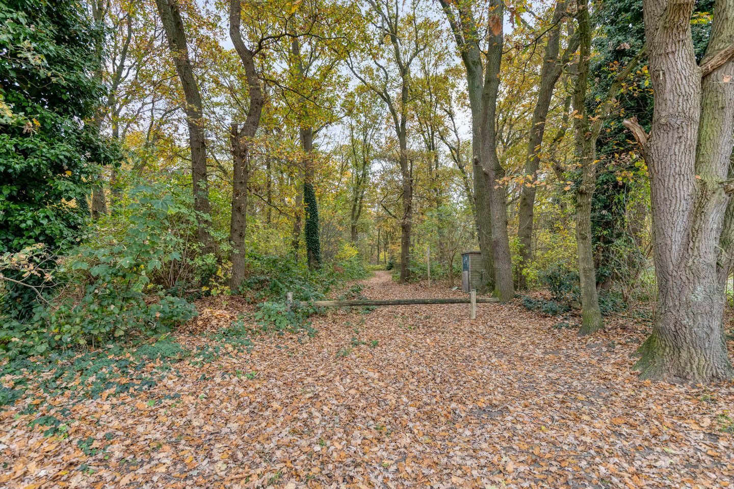 Foto 49 van Papendonk 6