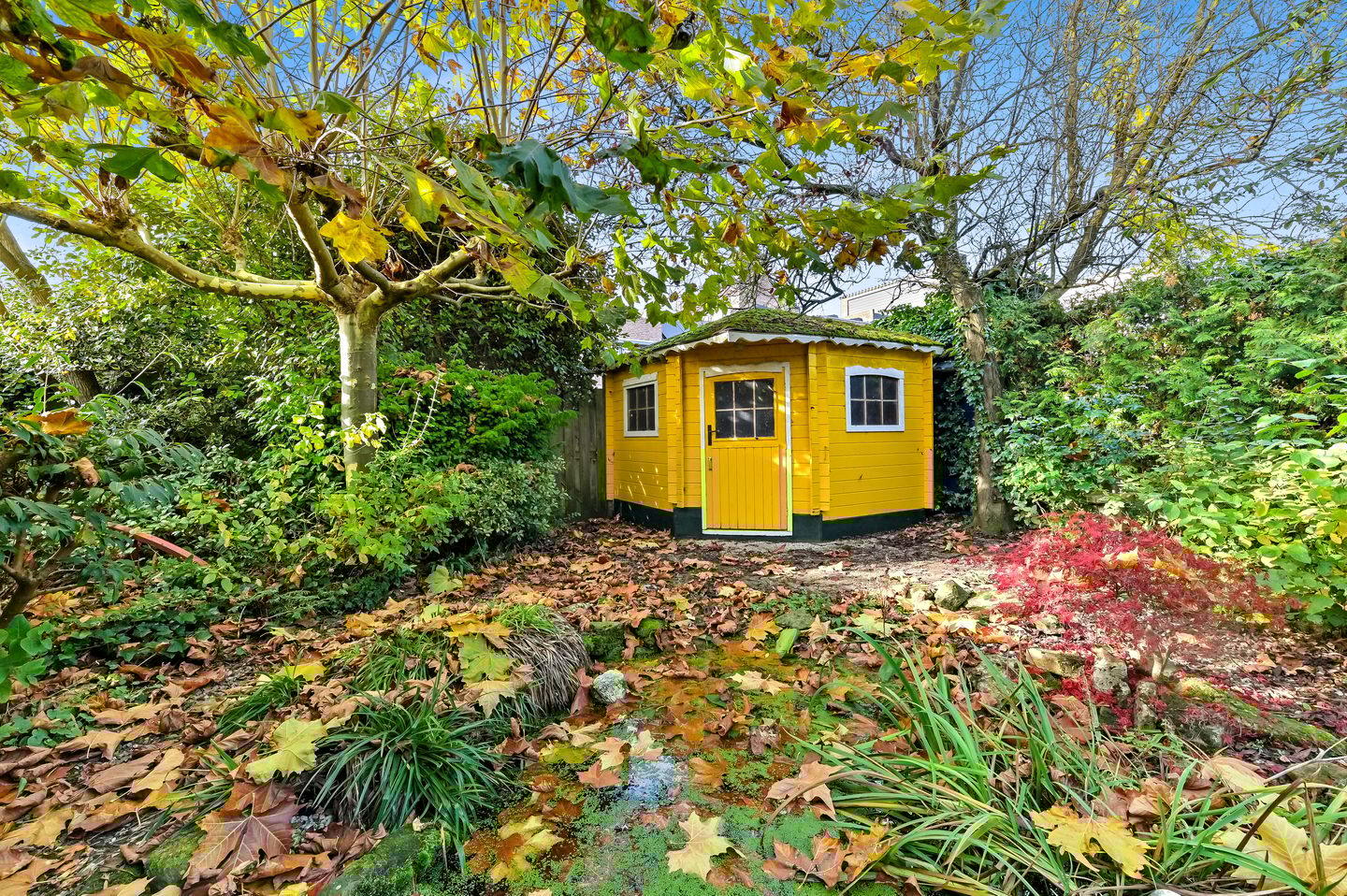 Photo 19 of Willem Barentszlaan 67