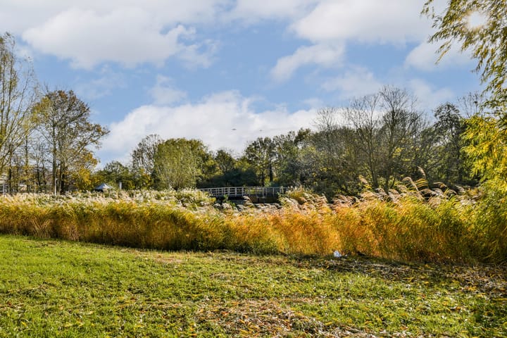 Photo 19 of Merelstraat 25