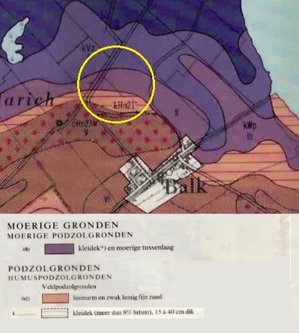 View photo 3 of Lorbuorren