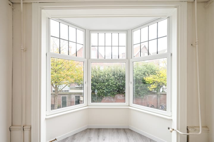 Photo 12 of Paulus Buijsstraat 7