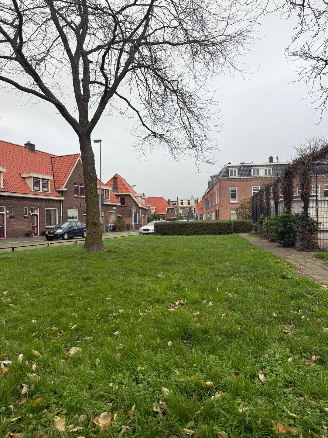 Foto 2 van Oleanderstraat 8