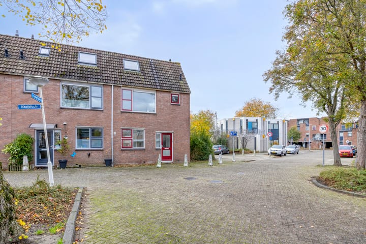 Photo 4 of Akeleituin 1