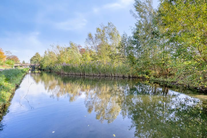 Photo 35 of Akeleituin 1