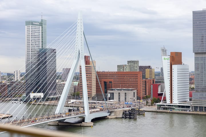 Foto 5 van Gedempte Zalmhaven 452