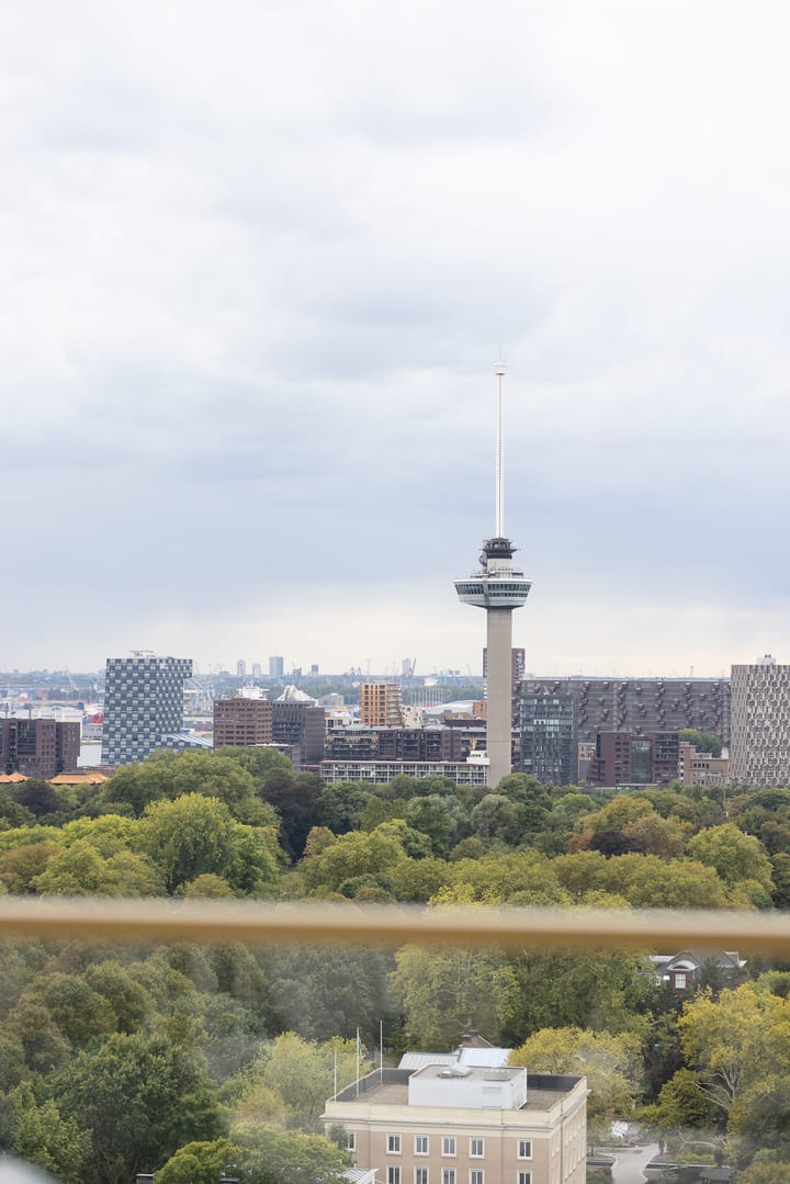 Foto 37 van Gedempte Zalmhaven 452