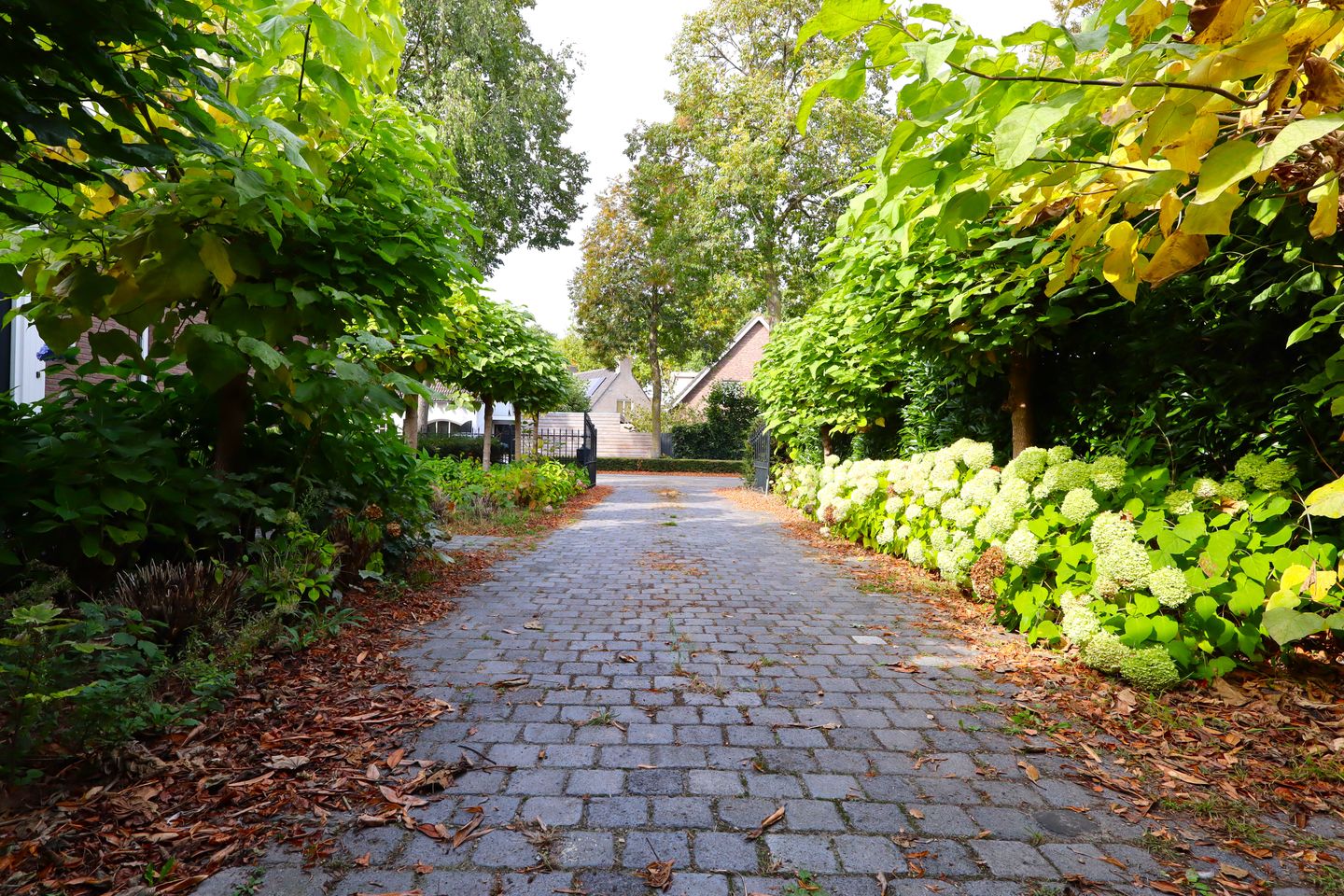 Foto 44 van Veerseweg 54-F
