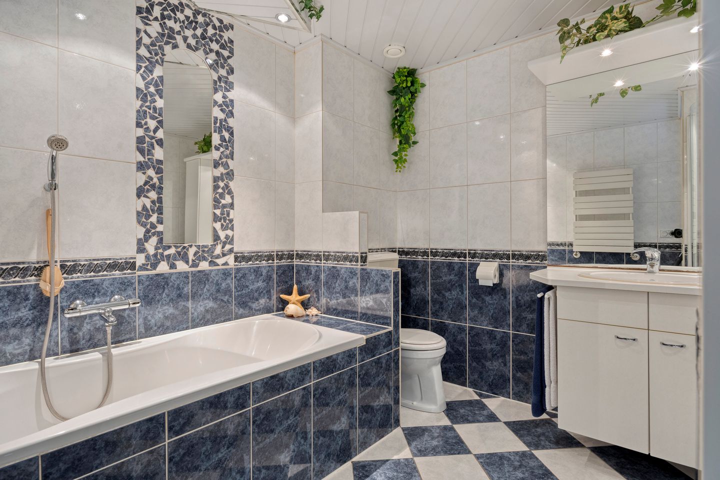 Foto 19 van Maria Lécinastraat 7