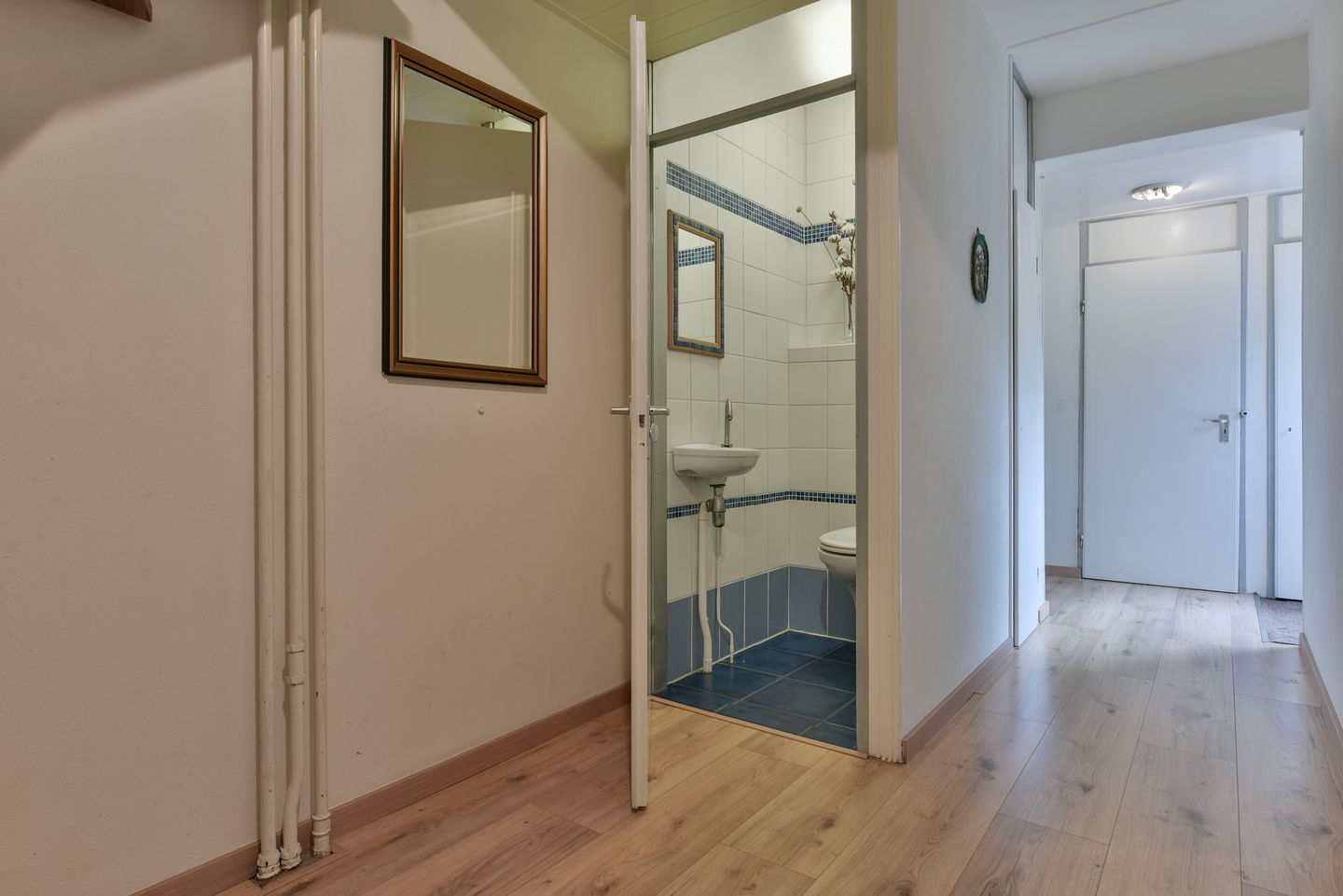 Foto 10 van Velasquezhof 8