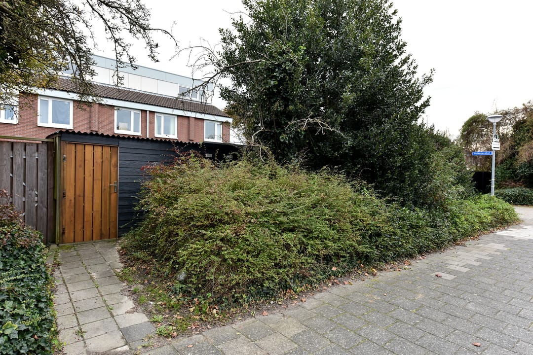 Foto 32 van Velasquezhof 8