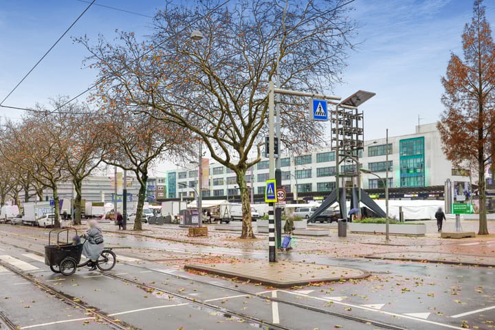 Foto 29 van Cornelis van Vollenhovenstraat 48