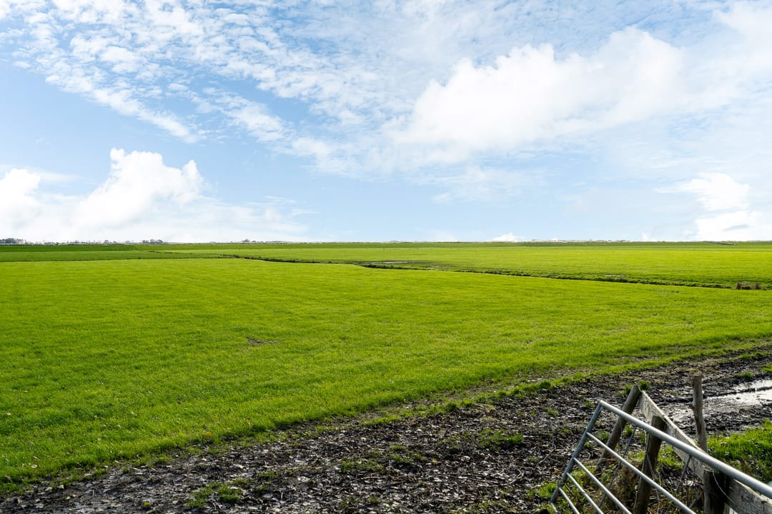 Foto 28 van Weisleatstrjitte 6