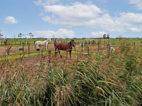 Kromme Spieringweg 217 tertiary image
