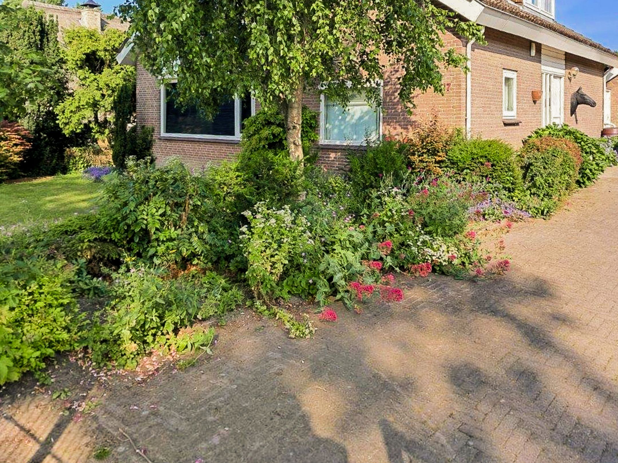 Foto 18 van Kromme Spieringweg 217