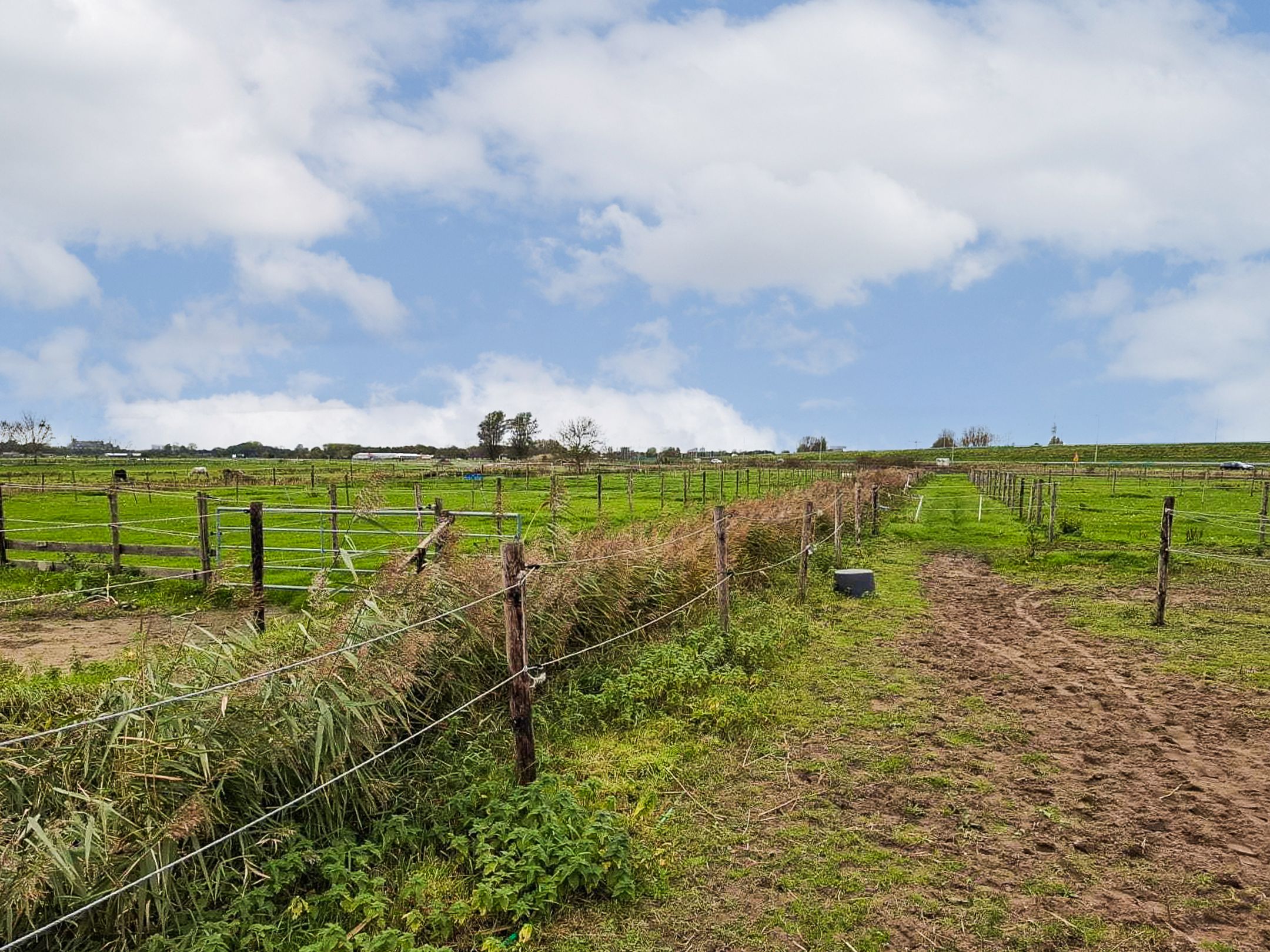 Foto 24 van Kromme Spieringweg 217