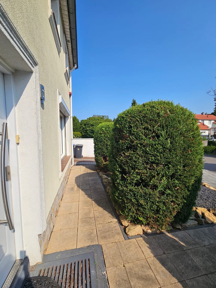 Foto 4 van Nieuwenhofstraat 19