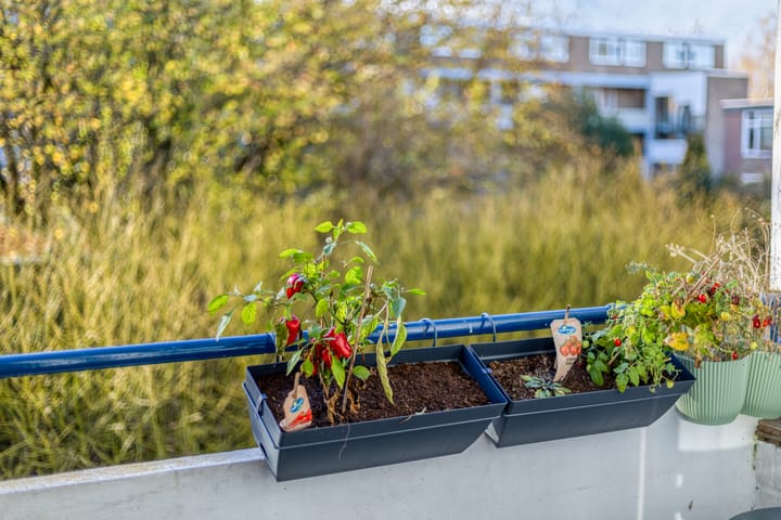 Photo 12 of Sabotagelaan 80