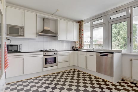 Biesbosch 79 tertiary image