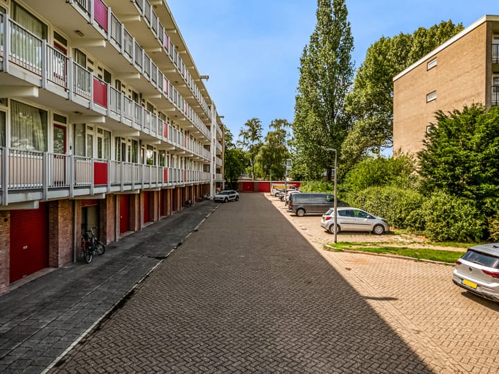 Photo 5 of Biesbosch 79