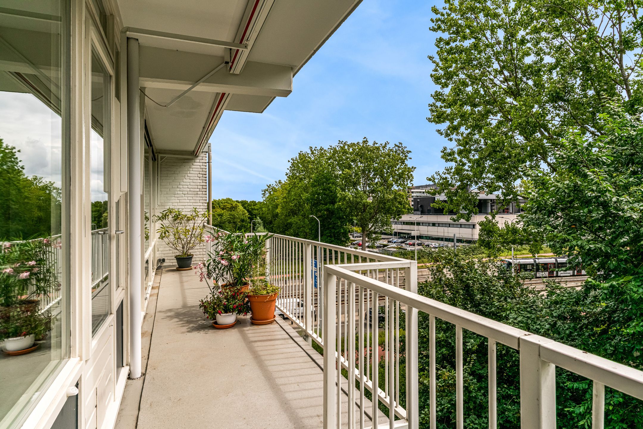 Foto 24 van Biesbosch 79