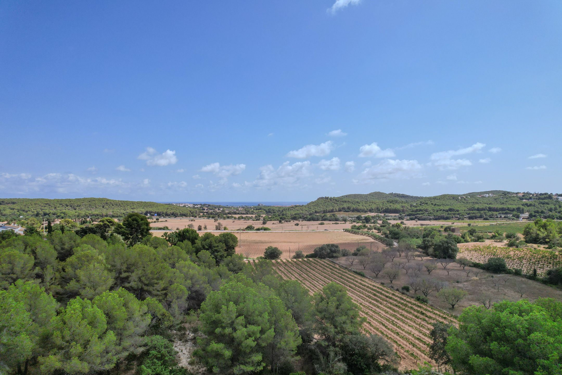 Photo 9 of Barri Puigmoltó 57