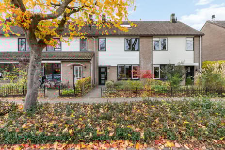 undefined main image