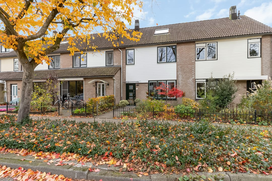 Foto 41 van Faunalaan 76