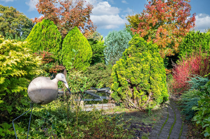 Photo 63 of Lavendelweg 16