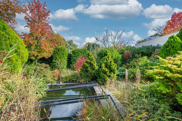 Photo 67 of Lavendelweg 16