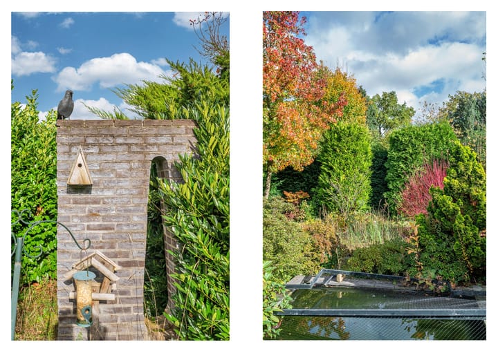 Photo 73 of Lavendelweg 16