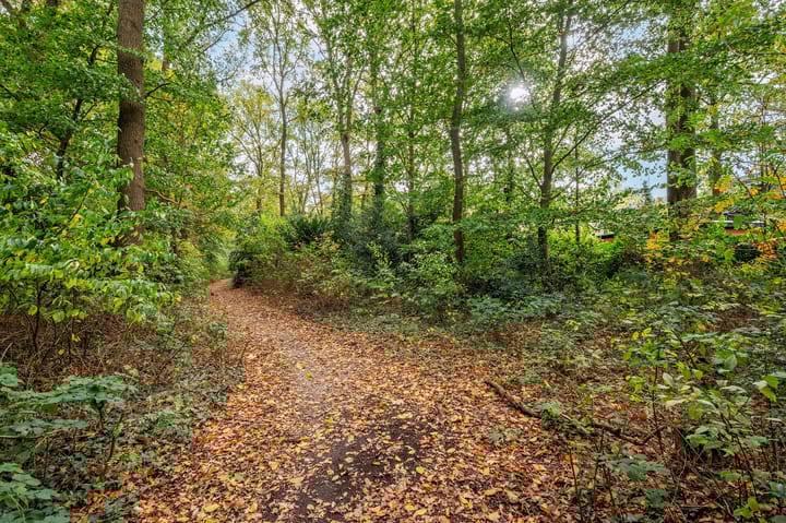 Photo 86 of Lavendelweg 16