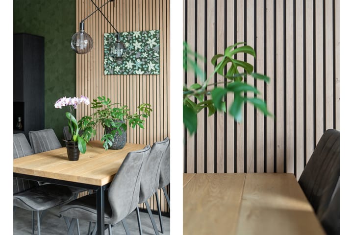 Photo 29 of Botter 55