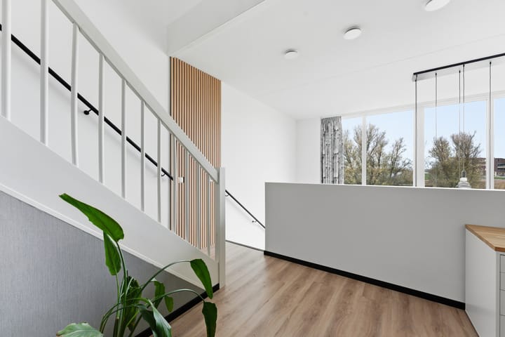 Photo 33 of Botter 55