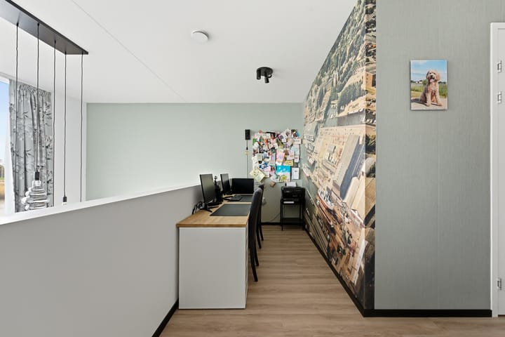 Photo 34 of Botter 55