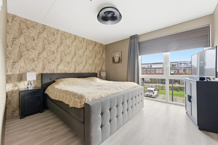 Photo 39 of Botter 55