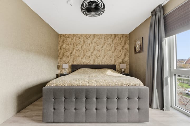 Photo 40 of Botter 55