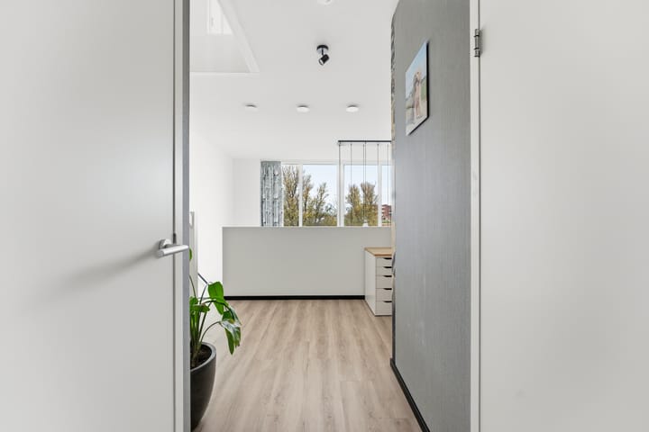 Photo 46 of Botter 55