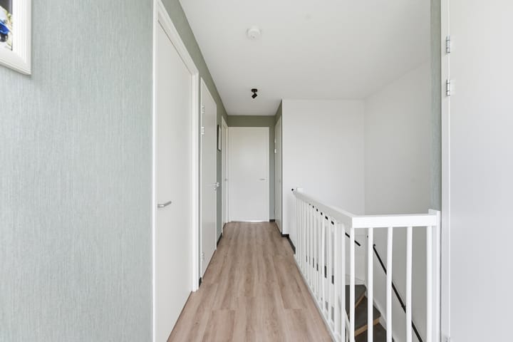 Photo 47 of Botter 55