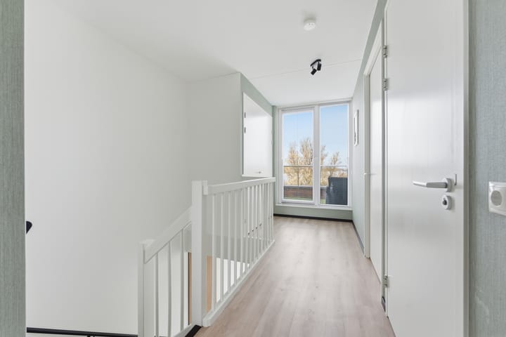 Photo 48 of Botter 55