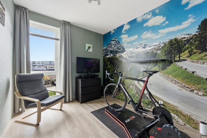 Photo 54 of Botter 55