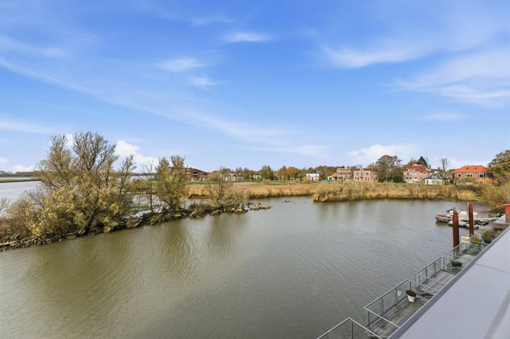 Photo 62 of Botter 55