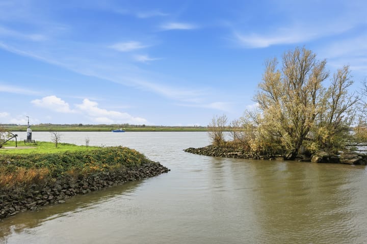 Photo 65 of Botter 55